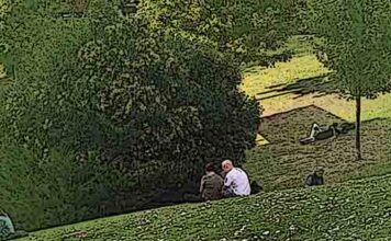 Artículo 5.207º: “Las castañeras, los Santos y los adolescentes”