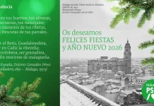 El PSOE recupera la figura de la poetisa malagueña Lota España para su felicitación navideña