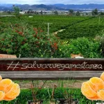 Mujer del año por el espíritu Mestanza