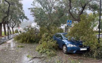El Consorcio Provincial de Bomberos realiza siete intervenciones por el temporal de viento en la provincia