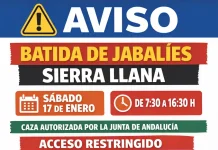 Aviso informativo sobre la batida de jabalíes en Sierra Llana este sábado, 17 de enero