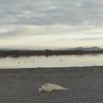 De cabreos, playas y humedales