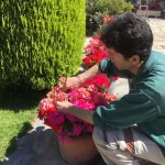 Cira Jardinería: Presentamos Nuestra Nueva Web