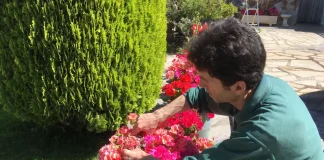 Cira Jardinería: Presentamos Nuestra Nueva Web