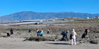 Determinación para pasar a la acción