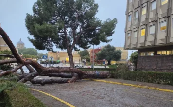 La Junta cifra en 14 millones de euros los daños en los centros sanitarios por el temporal