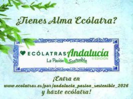 Ecovidrio, la Junta de Andalucía y la FAMP lanzan la 2º Edición de Ecólatras Andalucía