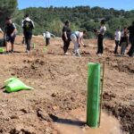 Alumnado del IES Huerta Alta de Alhaurín de la Torre participa en una reforestación