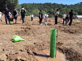 Alumnado del IES Huerta Alta de Alhaurín de la Torre participa en una reforestación