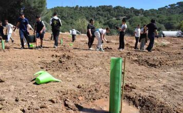 Alumnado del IES Huerta Alta de Alhaurín de la Torre participa en una reforestación