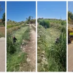 En marcha la campaña de prevención de incendios forestales en Alhaurín de la Torre