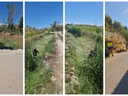 En marcha la campaña de prevención de incendios forestales en Alhaurín de la Torre