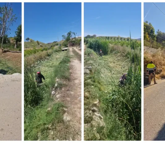 En marcha la campaña de prevención de incendios forestales en Alhaurín de la Torre