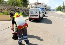 Nueva campaña contra las cucarachas y ratas en Alhaurín de la Torre