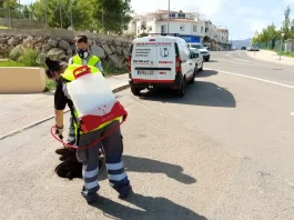 Nueva campaña contra las cucarachas y ratas en Alhaurín de la Torre