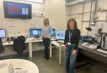 Investigadores avanzan en el estudio del glioblastoma en el laboratorio utilizando materiales de vanguardia