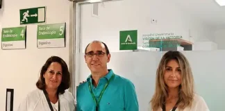 Un estudio liderado por investigadores de IBIMA Plataforma BIONAND identifica el papel de las vesículas de la microbiota intestinal en el avance del hígado graso y la toxicidad por fármacos, abriendo nuevas vías para el diagnóstico precoz.