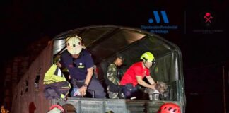 Los bomberos malagueños ya trabajan en la zona cero del terremoto en Venezuela