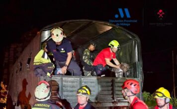 Los bomberos malagueños ya trabajan en la zona cero del terremoto en Venezuela