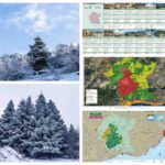 La UNESCO amplía la Reserva de la Biosfera Sierra de las Nieves y refuerza la protección de 14 municipios de Málaga