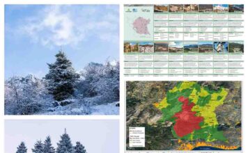 La UNESCO amplía la Reserva de la Biosfera Sierra de las Nieves y refuerza la protección de 14 municipios de Málaga