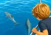 María y la ciudad de los delfines