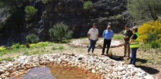 Alhaurín de la Torre, galardonado con el Premio Málaga Viva 2026