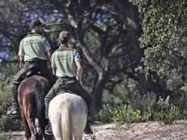 Andalucía impulsa la mayor modernización de su legislación ambiental del siglo XXI