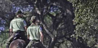 Andalucía impulsa la mayor modernización de su legislación ambiental del siglo XXI