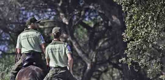 Andalucía impulsa la mayor modernización de su legislación ambiental del siglo XXI