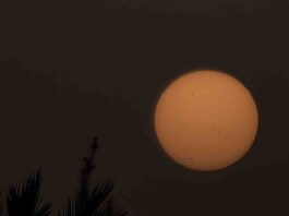 Sol by Chico Lopez