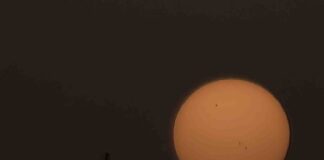 Sol by Chico Lopez