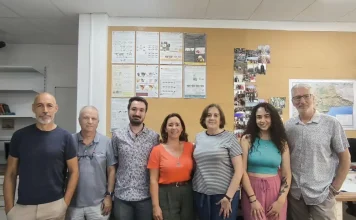 Demuestran que las plantas solares sirven como refugio y zona de caza para aves