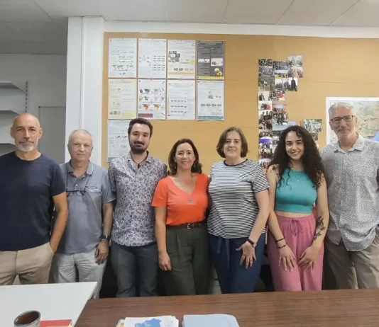 Demuestran que las plantas solares sirven como refugio y zona de caza para aves