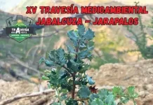La XV Travesía Medioambiental Jabalcuza-Jarapalos se celebra este sábado, 3 de octubre