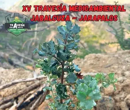La XV Travesía Medioambiental Jabalcuza-Jarapalos se celebra este sábado, 3 de octubre