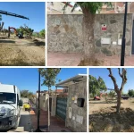 Los ejemplares, cuyas raíces habían provocado daños en aceras y pavimentos y afectado a elementos próximos a propiedades privadas, han sido trasladados al parque periurbano de San Joaquín y serán reemplazados por otras especies MÁS INFORMACIÓN: El Ayuntamiento de Alhaurín de la Torre ha llevado a cabo el trasplante de 19 ejemplares de jacaranda situados en la calle Mar Cantábrico, en el sector de Huerta Alta, debido a los problemas que el desarrollo de sus raíces estaba ocasionando tanto en la vía pública como en el entorno de algunas propiedades privadas. Las raíces de estos árboles habían provocado el levantamiento y deterioro de distintos tramos de acera y pavimento, generando situaciones de riesgo para los viandantes y registrándose incluso algunas caídas. Asimismo, su crecimiento estaba afectando o amenazando elementos próximos a los muros y propiedades privadas de la zona. La actuación responde a una demanda planteada por vecinos del entorno, que habían trasladado al Ayuntamiento su preocupación por esta situación y habían llegado incluso a contactar con organizaciones de consumidores para reclamar una solución. Los 19 ejemplares han sido sometidos a una poda técnica previa a su extracción y posterior traslado, y han sido replantados en el parque periurbano de San Joaquín, donde dispondrán de unas condiciones más adecuadas para su desarrollo y crecimiento. Esta actuación sigue la línea de otras intervenciones realizadas anteriormente en distintos puntos de este mismo sector de Huerta Alta, donde también se optó por trasladar ejemplares de arbolado que presentaban problemas por su ubicación y desarrollo radicular. En la calle Mar Cantábrico, los ejemplares trasplantados serán sustituidos por aligustres, una especie que presenta una mejor adaptación a las condiciones y características de las zonas urbanas y que permitirá compatibilizar la presencia de arbolado con el uso peatonal de las aceras y la conservación de las infraestructuras y propiedades colindantes. Desde el Ayuntamiento se destaca que la actuación responde al compromiso municipal con la conservación del arbolado y la búsqueda de soluciones que permitan preservar los ejemplares siempre que sea técnicamente posible, priorizando su trasplante a espacios donde puedan desarrollarse en mejores condiciones frente a otras alternativas. Los trabajos de extracción, poda, transporte y trasplante han sido ejecutados por el Área de Servicios Operativos que dirige Rodrigo Jiménez.
