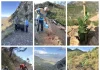 Repoblación forestal en Jarapalos: 300 árboles resisten el verano