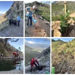 Repoblación forestal en Jarapalos: 300 árboles resisten el verano Repoblación forestal en Jarapalos: 300 árboles resisten el verano
