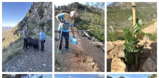 Repoblación forestal en Jarapalos: 300 árboles resisten el verano