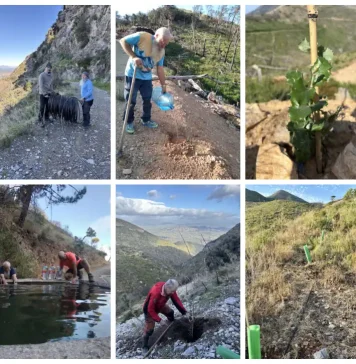 Repoblación forestal en Jarapalos: 300 árboles resisten el verano Repoblación forestal en Jarapalos: 300 árboles resisten el verano