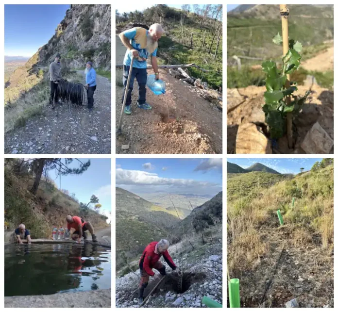 Repoblación forestal en Jarapalos: 300 árboles resisten el verano