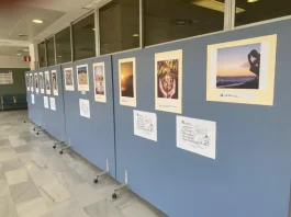 El Clínico de Málaga convoca la IX edición del concurso fotográfico Miguel Ángel Rubio