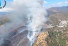 Grave incendio forestal en Benahavís obliga a desalojar una urbanización y deja dos heridos
