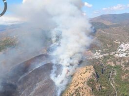 Grave incendio forestal en Benahavís obliga a desalojar una urbanización y deja dos heridos