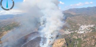 Grave incendio forestal en Benahavís obliga a desalojar una urbanización y deja dos heridos