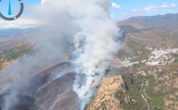 Grave incendio forestal en Benahavís obliga a desalojar una urbanización y deja dos heridos