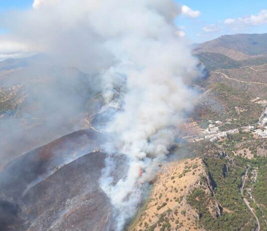 Grave incendio forestal en Benahavís obliga a desalojar una urbanización y deja dos heridos