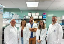 Investigadores identifican un compuesto natural que mejora la memoria en modelos de alzhéimer