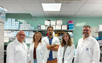 Investigadores identifican un compuesto natural que mejora la memoria en modelos de alzhéimer